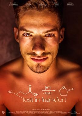 迷失法兰克福封面图