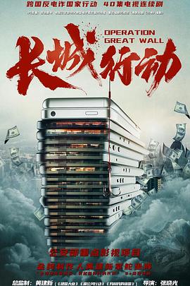 长城行动封面图