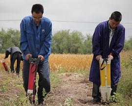 自然农人老贾封面图