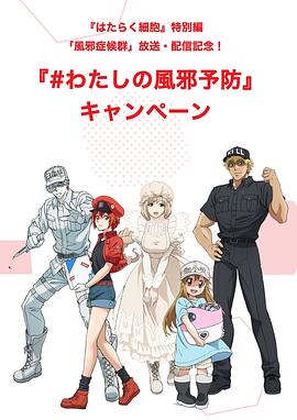 工作细胞特别篇：感冒封面图