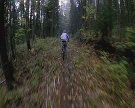 与我相随封面图