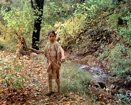 锡安峡谷封面图