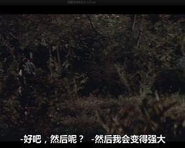 战国洛克：疾风女人们封面图