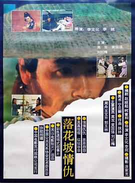 落花坡情仇封面图