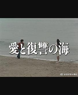 爱与复仇之海封面图