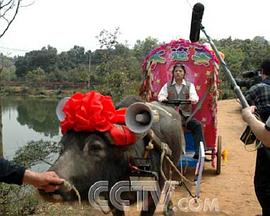 五一七天乐 2006封面图