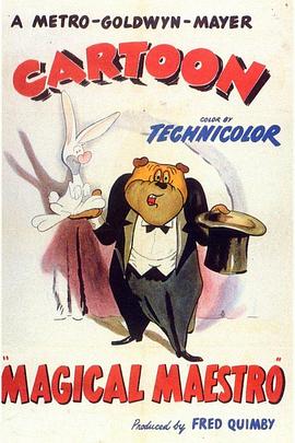 魔术大师封面图