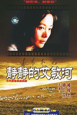 静静的艾敏河封面图