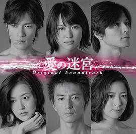 愛の迷宮封面图
