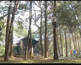 卢桓正传封面图