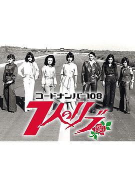 行动代号108 女子七人特工队封面图