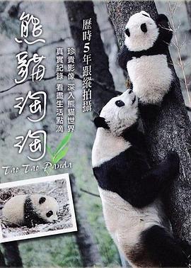 熊猫淘淘封面图