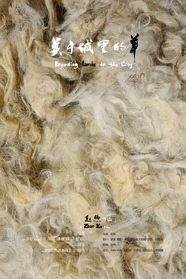 关于城里的羊封面图