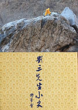 刘三先生小史封面图