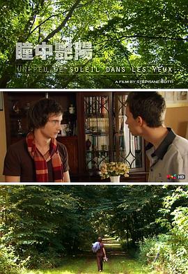 瞳中艳阳封面图