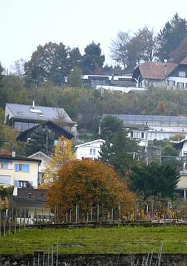 瑞士来的礼物封面图