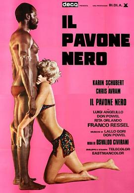 白孔雀黑孔雀封面图