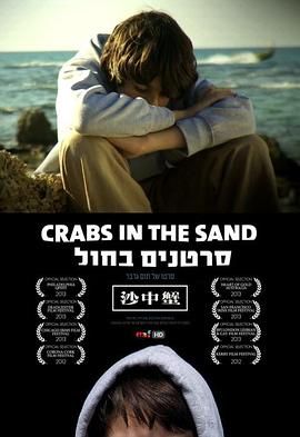 沙中蟹封面图