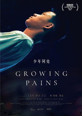 少年阿尧封面图