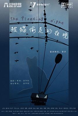 被猫偷走的夜晚封面图