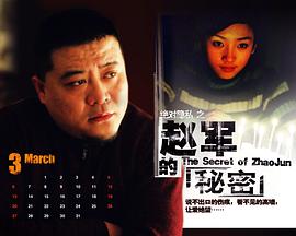 赵军的秘密封面图