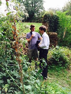 打断的早晨封面图