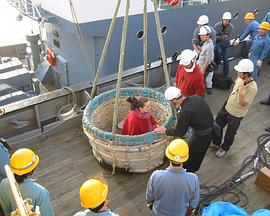 马修·巴尼：百无禁忌封面图