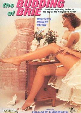 奶酪上的布丁封面图