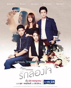 试探的爱2封面图