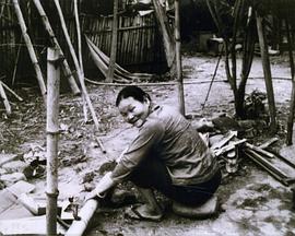 穿過婆家村封面图