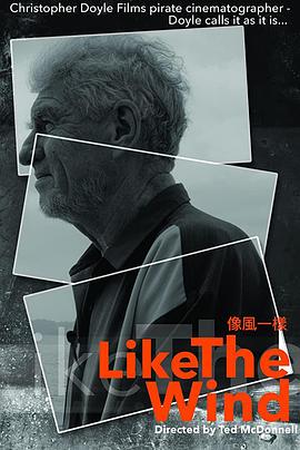 像风一样封面图