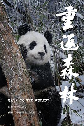 重返森林封面图