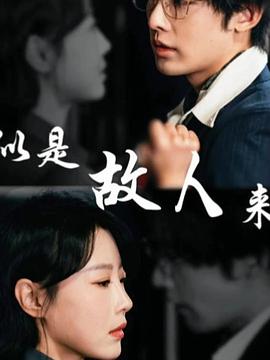 似是故人来封面图