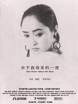 关于我母亲的一夜封面图