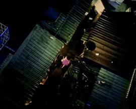 海马洗头封面图