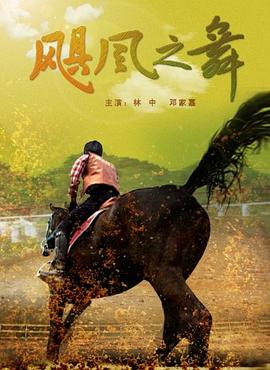 飓风之舞封面图