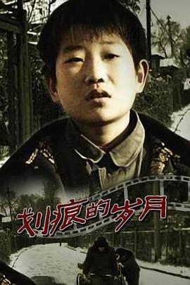 划痕的岁月封面图