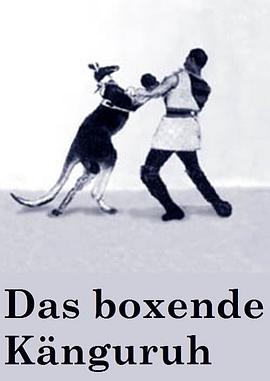 拳击袋鼠封面图