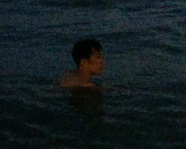 早晨的风暴封面图