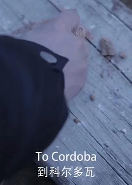 到科尔多瓦封面图