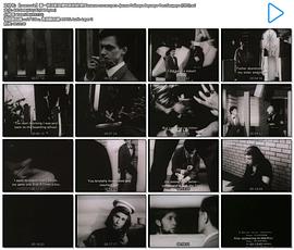 看一部法斯宾德电影的欲望封面图