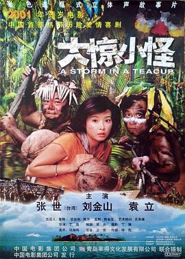 大惊小怪封面图