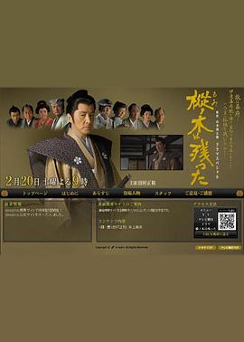 最后的枞树封面图