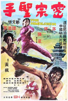 密宗圣手封面图