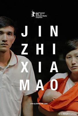 禁止下锚封面图