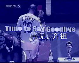 再见，齐祖封面图