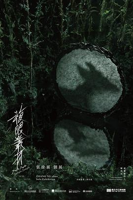 热带复眼封面图