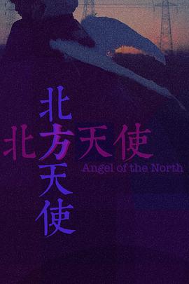 北方天使封面图