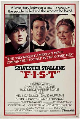 拳头大风暴封面图