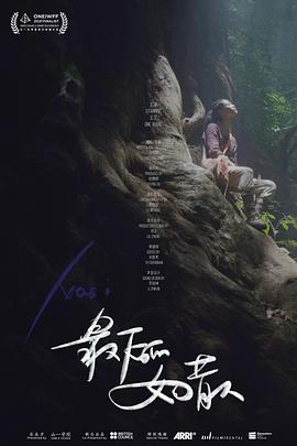 最后的女猎人封面图